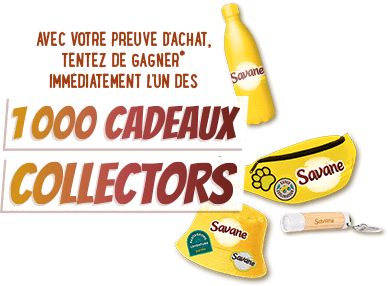Avec votre preuve d'achat, tentez de gagner* immédiatement l'un des 1000 cadeaux collectors !